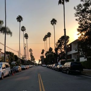 Meet your Posher, Chi